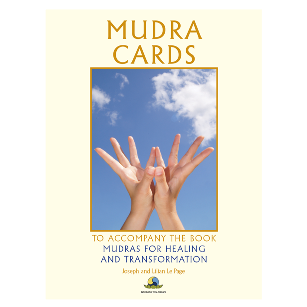 Mudra Card | vlr.eng.br